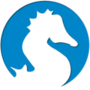 网页DDOS攻击平台